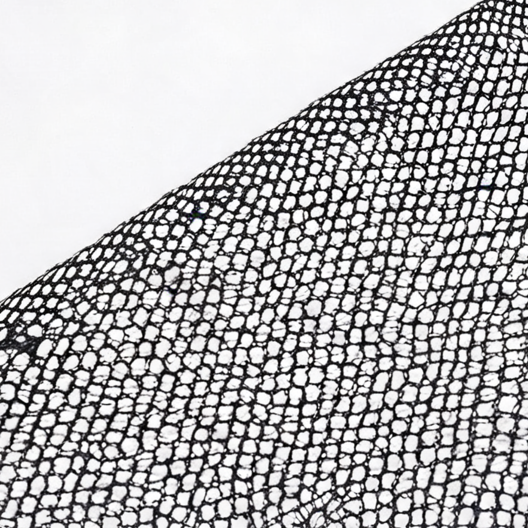 Noirelle – Przezroczysta sukienka midi bodycon z rękawiczkami i stringami, czarna